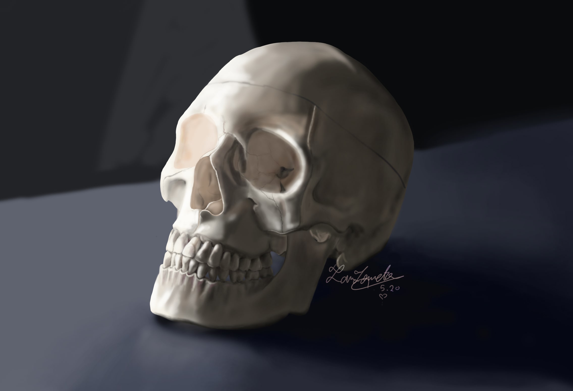 digital painting of a skull